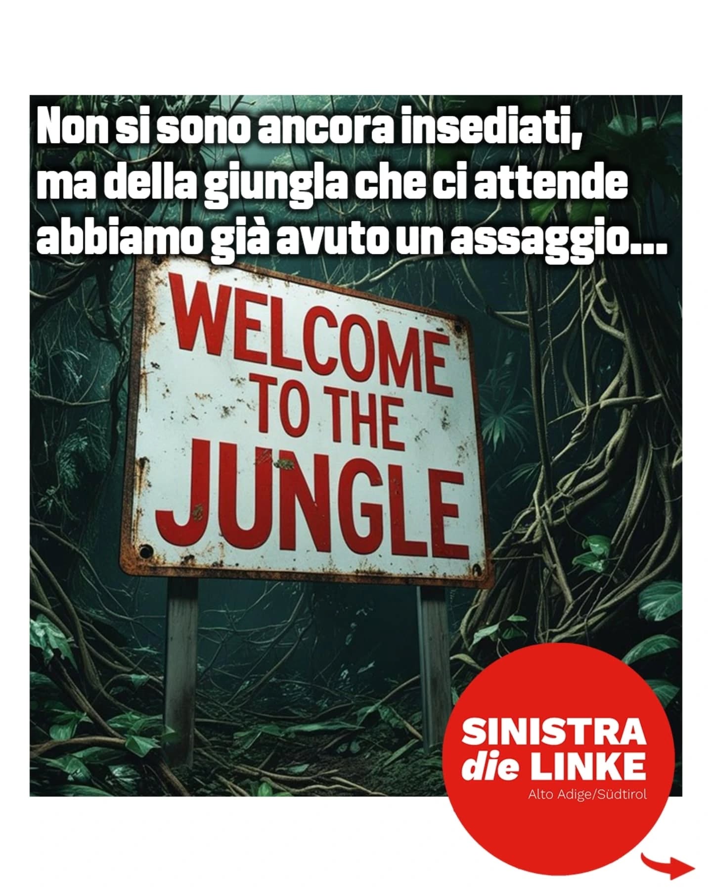 Welcome to the jungle