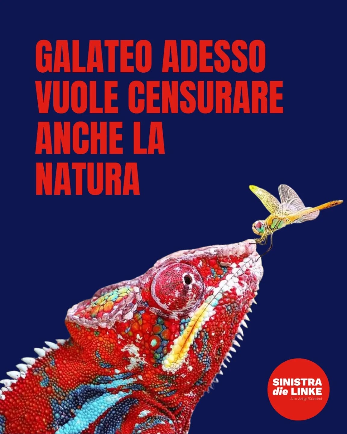 Galateo contro la natura